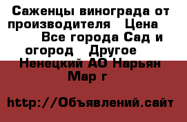 Саженцы винограда от производителя › Цена ­ 800 - Все города Сад и огород » Другое   . Ненецкий АО,Нарьян-Мар г.